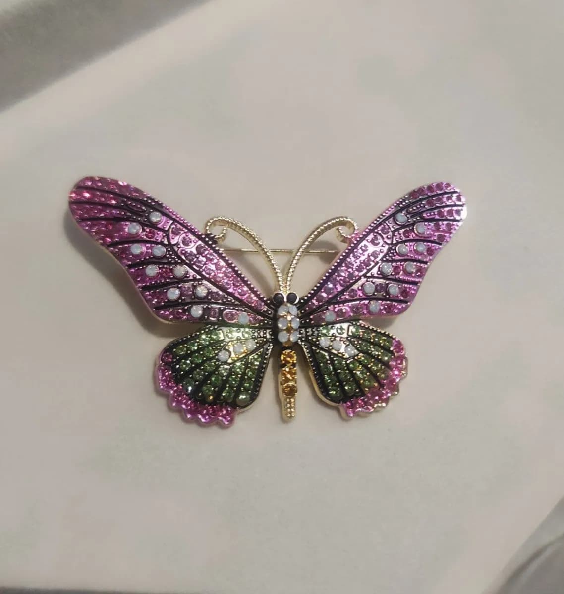 Butterfly